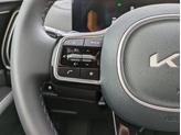 Thumbnail of 2025 Panthera Metal Kia Sorento