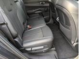 Thumbnail of 2025 Panthera Metal Kia Sorento