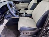 Thumbnail of 2026 Panthera Metal Kia Carnival