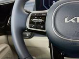Thumbnail of 2026 Panthera Metal Kia Carnival