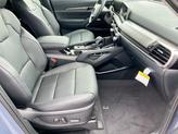 Thumbnail of 2025 Everlasting Silver Kia Telluride
