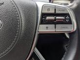 Thumbnail of 2020 Everlasting Silver Kia Telluride