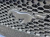 Thumbnail of 2021 Blue Ford Mustang