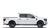 Thumbnail of 2025 Oxford White Ford F-150