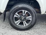 Thumbnail of 2019 Super White Toyota Tacoma