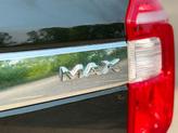Thumbnail of 2019 Agate Black Metallic Ford Expedition Max