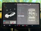 Thumbnail of 2019 Pearl White Multi-Coat Tesla Model 3