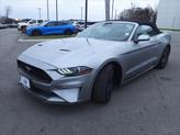 Thumbnail of 2022 Silver Ford Mustang