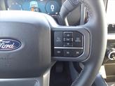 Thumbnail of 2025 Carbonized Gray Metallic Ford F-150