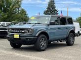 Thumbnail of 2022 Area 51 Ford Bronco