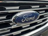 Thumbnail of 2020 Magnetic Ford Edge