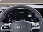 Thumbnail of 2025 PML/PANTHMETAL Kia Telluride