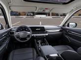 Thumbnail of 2025 PML/PANTHMETAL Kia Telluride