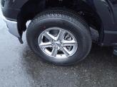 Thumbnail of 2025 Agate Black Metallic Ford F-150
