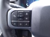 Thumbnail of 2025 Agate Black Metallic Ford F-150