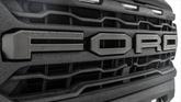 Thumbnail of 2024 Agate Black Metallic Ford F-150