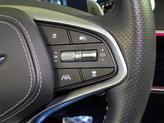 Thumbnail of 2023 Vik Black Genesis GV70