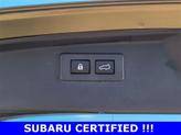 Thumbnail of 2023 Autumn Green Metallic Subaru Outback