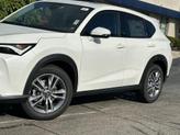 Thumbnail of 2025 Platinum White Pearl Acura ADX
