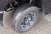 Thumbnail of 2025 Agate Black Metallic Ford F-250