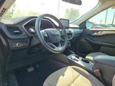 Thumbnail of 2021 Red Ford Escape
