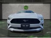 Thumbnail of 2022 Oxford White Ford Mustang