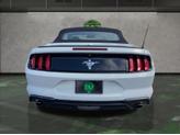 Thumbnail of 2022 Oxford White Ford Mustang
