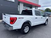 Thumbnail of 2023 White Ford F-150