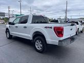 Thumbnail of 2023 White Ford F-150