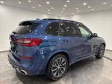 Thumbnail of 2019 Blue BMW X5