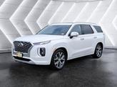 Thumbnail of 2021 Hyper White Hyundai PALISADE