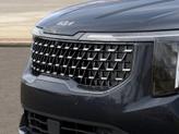 Thumbnail of 2026 Panthera Metal Kia Carnival