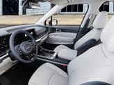 Thumbnail of 2026 Panthera Metal Kia Carnival