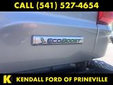Thumbnail of 2021 Silver Ford F-150