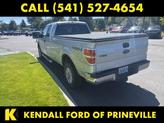 Thumbnail of 2013 Ingot Silver Ford F-150
