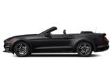 Thumbnail of 2021 SHADOW BLACK Ford Mustang