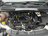 Thumbnail of 2019 White Ford Escape