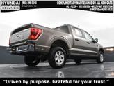 Thumbnail of 2023 Stone Gray Metallic Ford F-150
