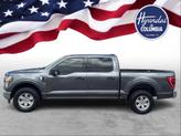 Thumbnail of 2021 Gray Ford F-150