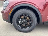 Thumbnail of 2025 Dawning Red Kia Sportage