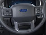 Thumbnail of 2025 Marsh Gray Ford F-150