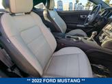 Thumbnail of 2022 DARK MATTER GRAY METALLIC Ford Mustang