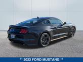 Thumbnail of 2022 DARK MATTER GRAY METALLIC Ford Mustang