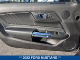 Thumbnail of 2022 DARK MATTER GRAY METALLIC Ford Mustang