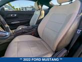 Thumbnail of 2022 DARK MATTER GRAY METALLIC Ford Mustang