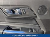 Thumbnail of 2022 DARK MATTER GRAY METALLIC Ford Mustang