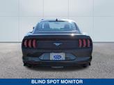 Thumbnail of 2022 DARK MATTER GRAY METALLIC Ford Mustang