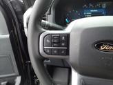 Thumbnail of 2025 Agate Black Metallic Ford F-150