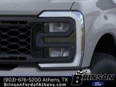 Thumbnail of 2025 Avalanche Ford F-250