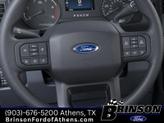 Thumbnail of 2025 Avalanche Ford F-250